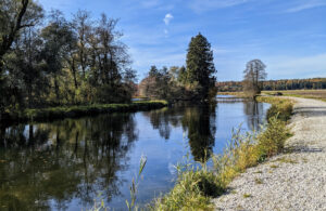 Foto des Amperufers bei Schöngeising